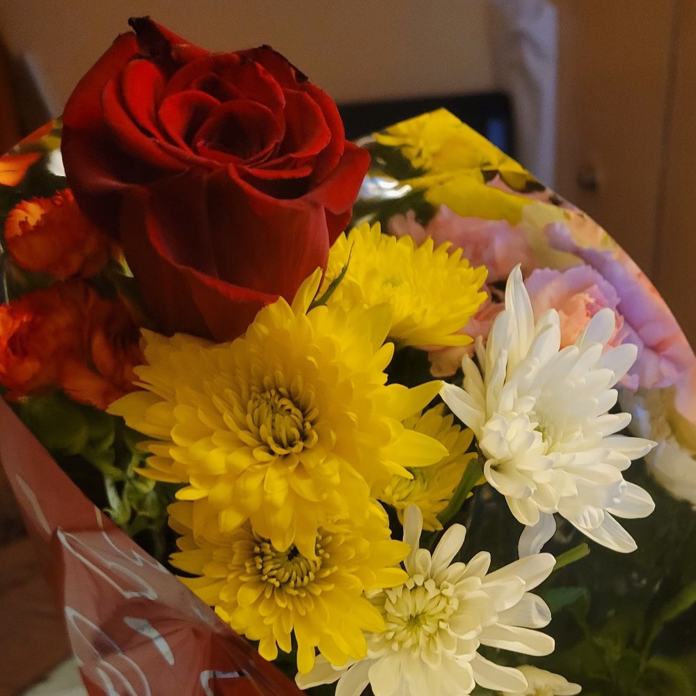 Meet your Posher, Lola